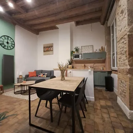 Spacious Completely Renovated Right In The Center Apartment Lyon