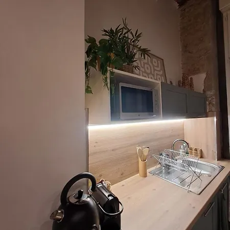 Spacious Completely Renovated Right In The Center Λυών